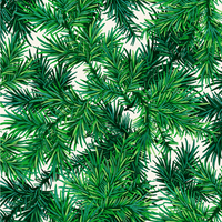 surgical cap christmas fabric with close-up of green pine branches on a white background