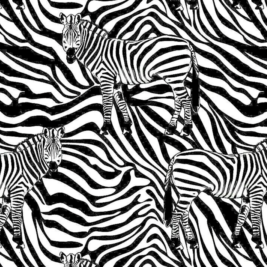 Surgical Caps South African Safari Poppy Blue Sky Scrubs