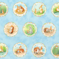 The Tale Of Peter Rabbit - Poppy Surgical Hats