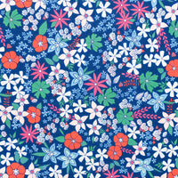 Romeo And Juliet - Pixie Scrub Cap