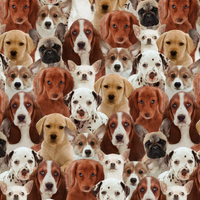 Puppy Love - Stellar Scrub Cap