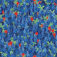 bluebonnets with red flowers on a blue background.