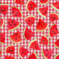 Pattern of watermelon slices on a red and white checkered background
