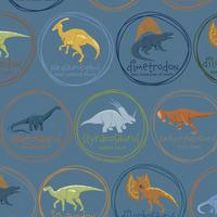 Scrub hat fabric with a pattern of various dinosaurs in circles with names on a blue background
