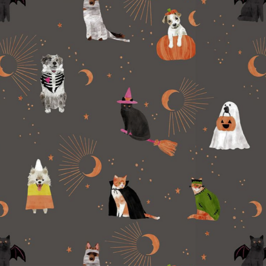 Pawsome Costumes - Pixie Surgical Hats