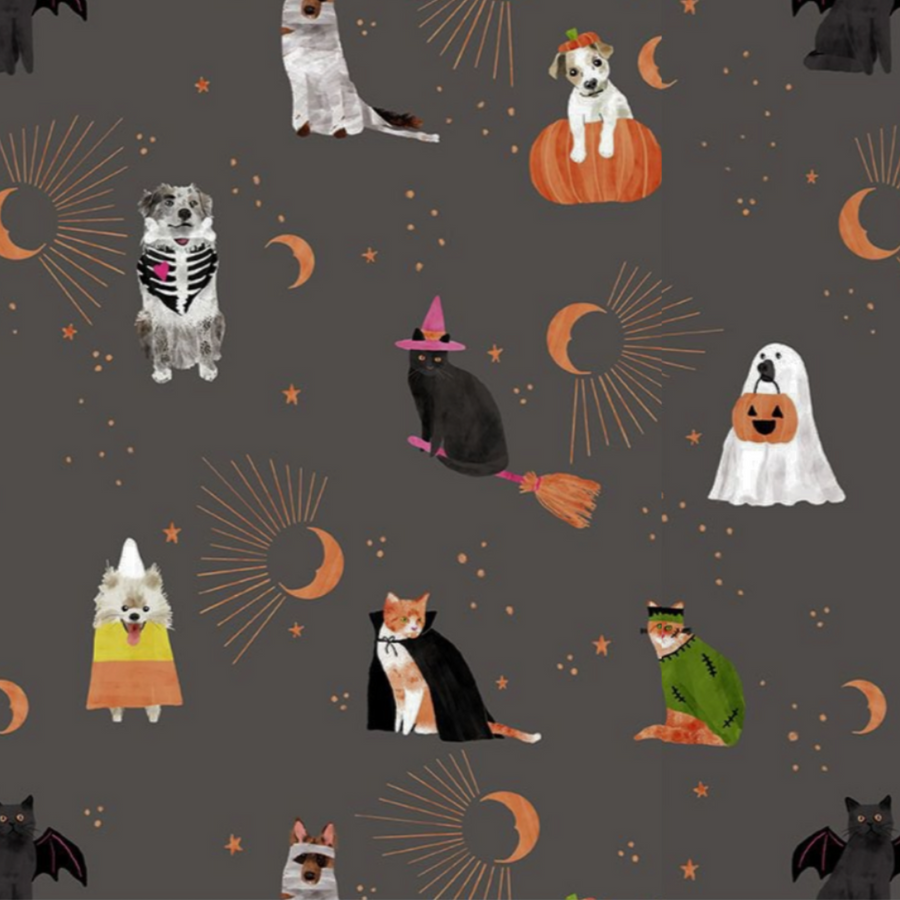 Pawsome Costumes - Pixie Surgical Hats