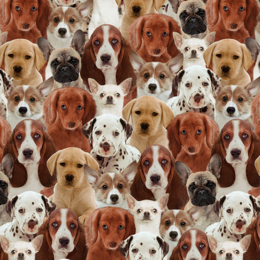 Puppy Love - Poppy Bouffant Scrub Cap