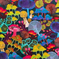 Colorful illustration of various mushrooms on a dark background