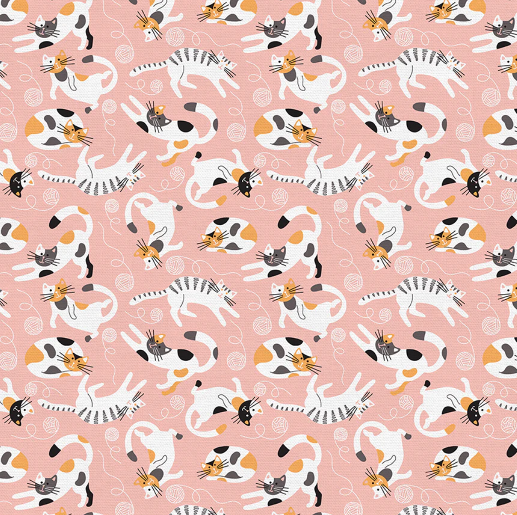 Kitten Around Pixie Women&